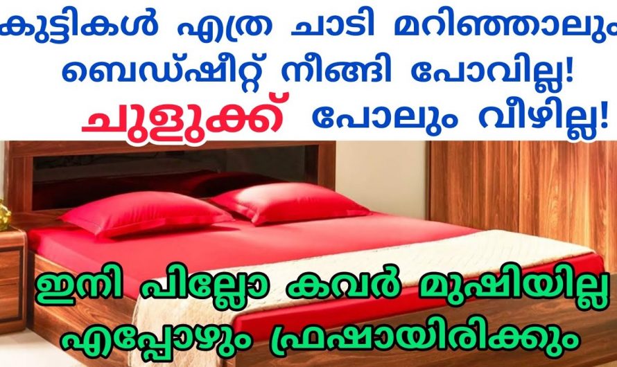 നമ്മുടെ വീട്ടിലുള്ള പില്ലോ ഇങ്ങനെ ചെയ്താൽ അസുഖങ്ങൾ ഒഴിവാക്കുവാൻ ആയിട്ട് സാധിക്കും.