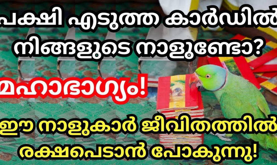 ഇനി ഈ നക്ഷത്രക്കാരെ പിടിച്ചാൽ കിട്ടില്ല അത്രയ്ക്കും സൗഭാഗ്യങ്ങൾ ലഭ്യമാണ്…