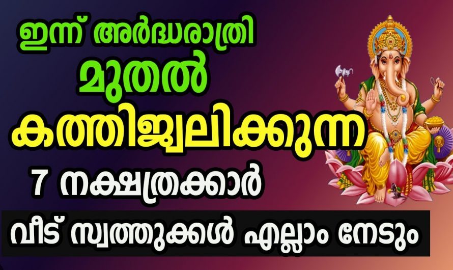 ഈ ഏഴ് നക്ഷത്രക്കാർക്ക് ഇനി സൗഭാഗ്യത്തിന്റെ സമയം..