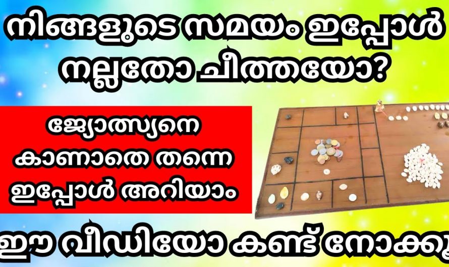 ഓരോ നക്ഷത്രക്കാരുടെയും ഫെബ്രുവരി മാസത്തിൽ നടക്കാൻ പോകുന്നതിനെക്കുറിച്ച് മനസ്സിലാക്കാൻ.