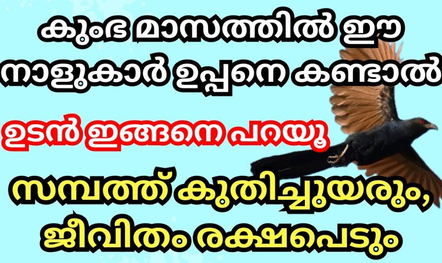 കുംഭമാസത്തിൽ  ഈ നാളുകൾ ഉപ്പനെ കണ്ടാൽ മഹാ സൗഭാഗ്യം നേടും..