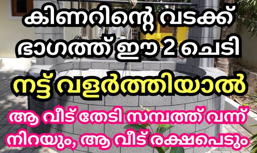 നിങ്ങളുടെ വീട്ടിൽ കിണറിന്റെ വടക്കുഭാഗത്ത് ഈ ചെടികൾ നട്ടുവളർത്തിയൽ സമ്പത്ത്  കുമിഞ്ഞുകൂടും..