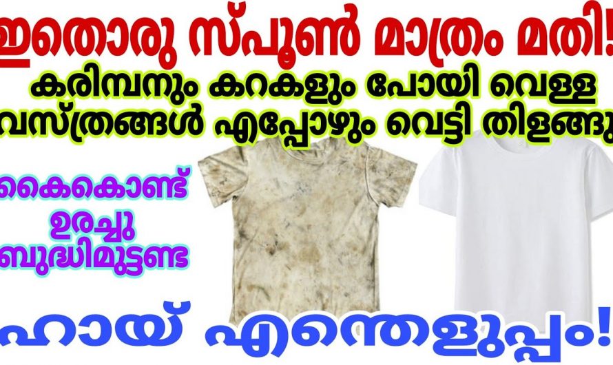 തുണി കഴുകുമ്പോൾ നല്ല വെൺമ ലഭിക്കുവാൻ ഇത് ചേർത്താൽ മതി.