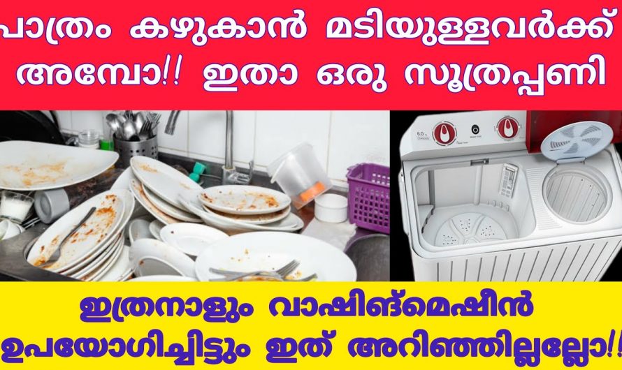 പാത്രം കഴുകാൻ ഈ മാർഗം സ്വീകരിച്ചു നോക്കൂ, ഞൊടിയിടയിൽ കഴുകി തീർക്കാം…