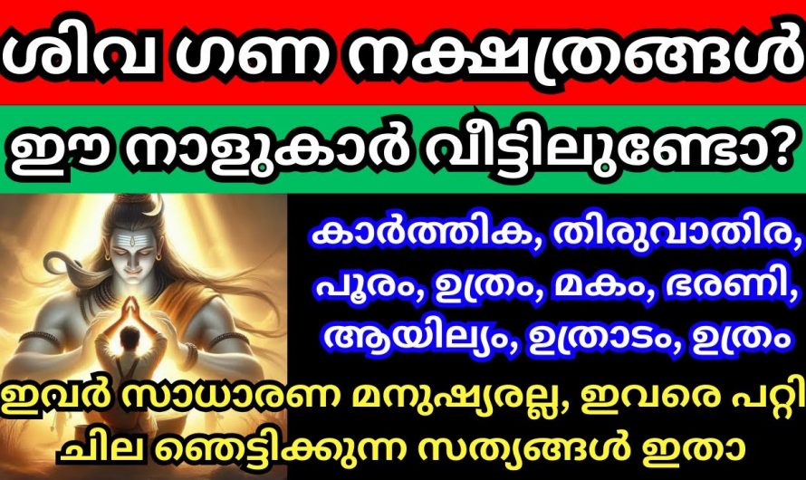 ഈ ഒൻപതു നക്ഷത്രക്കാർ ശിവ ഗണത്തിൽ പെട്ട നക്ഷത്രങ്ങൾ, ഇവർക്ക് ഞെട്ടിക്കും അനുഗ്രഹങ്ങൾ ലഭ്യമാകും..