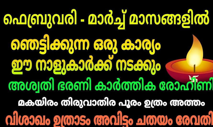 2024 ഫെബ്രുവരി – മാർച്ച് മാസത്തിൽ സൗഭാഗ്യങ്ങൾ നേടിയെടുക്കാൻ സാധിക്കുന്ന നക്ഷത്രങ്ങൾ…