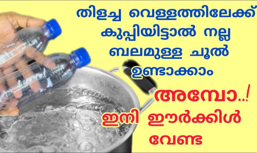 കുപ്പി ഉപയോഗിച്ച് കൊണ്ട് ഒരു ചൂൽ ഉണ്ടാക്കിയാലോ.