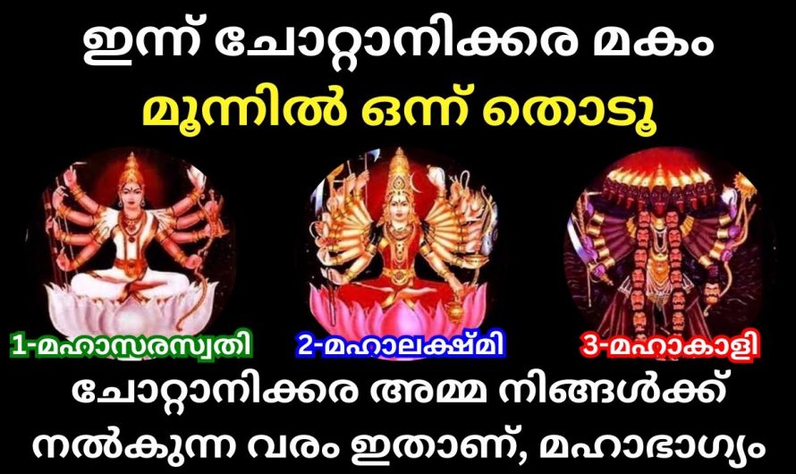 ചോറ്റാനിക്കര മകം ഇതിൽ ചോറ്റാനിക്കര അമ്മയുടെ ചിത്രം തെരഞ്ഞെടുക്കുക ജീവിതത്തെക്കുറിച്ച് മനസ്സിലാക്കൂ.