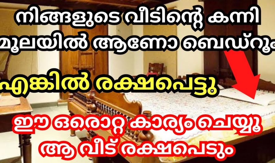 വീടിന്റെ കന്നിമൂലയിൽ നിങ്ങളുടെ വീട്ടിൽ ഇതാണോ എങ്കിൽ നിങ്ങൾ രക്ഷപ്പെട്ടു…