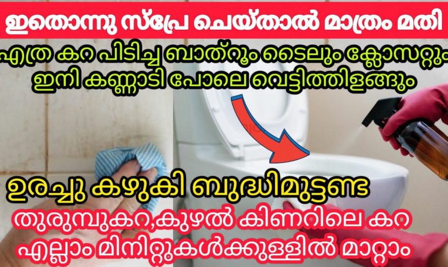 എത്ര പഴയ ബാത്റൂമും ക്ലോസറ്റും പുത്തൻ പുതിയത് പോലെയാക്കാൻ കിടിലൻ വഴി..