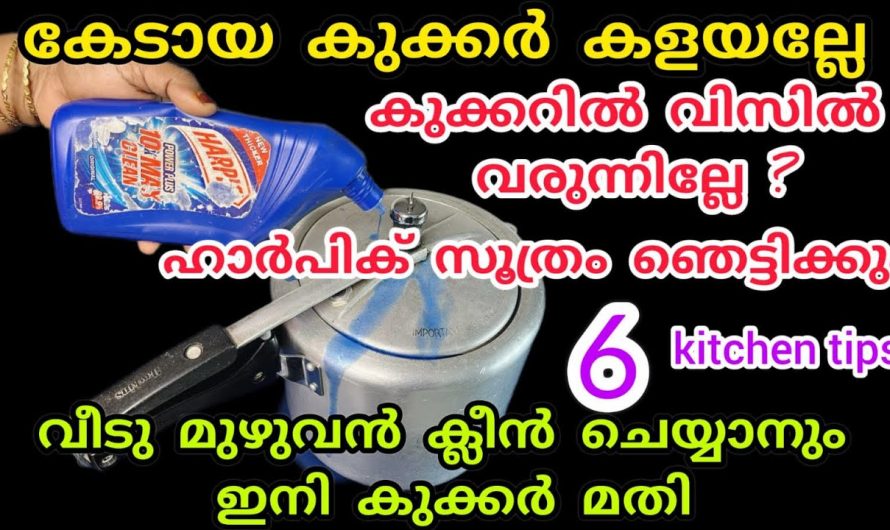 പാചകത്തിലെ പ്രഷർ കുക്കർ ഉപയോഗിക്കുമ്പോൾ ശ്രദ്ധിക്കേണ്ട കാര്യങ്ങൾ.