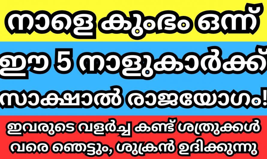 കുംഭമാസം ഒന്നാം തീയതി മുതൽ ഈ  7 നക്ഷത്രക്കാർക്ക് സൗഭാഗ്യങ്ങളുടെ സമയം…