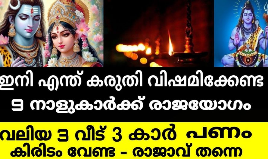 ഫെബ്രുവരി 24 മുതൽ കുതിച്ചുയരുന്ന 9 നക്ഷത്രക്കാർ…