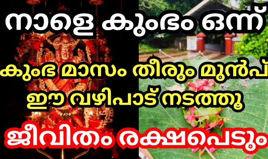 കുംഭം മാസത്തിൽ ഈ വഴിപാട് ചെയ്താൽ വളരെയധികം അനുഗ്രഹങ്ങൾ നേടിയെടുക്കാം..