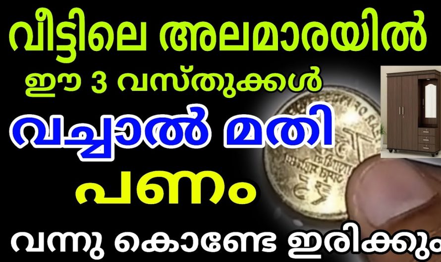 കടബാധ്യതകൾ മാറുന്നതിനും സാമ്പത്തിക നേട്ടം ഉണ്ടാക്കുന്നതിന് വേണ്ടി ഈയൊരു കാര്യം അലമാരിയിൽ ചെയ്താൽ മതി…