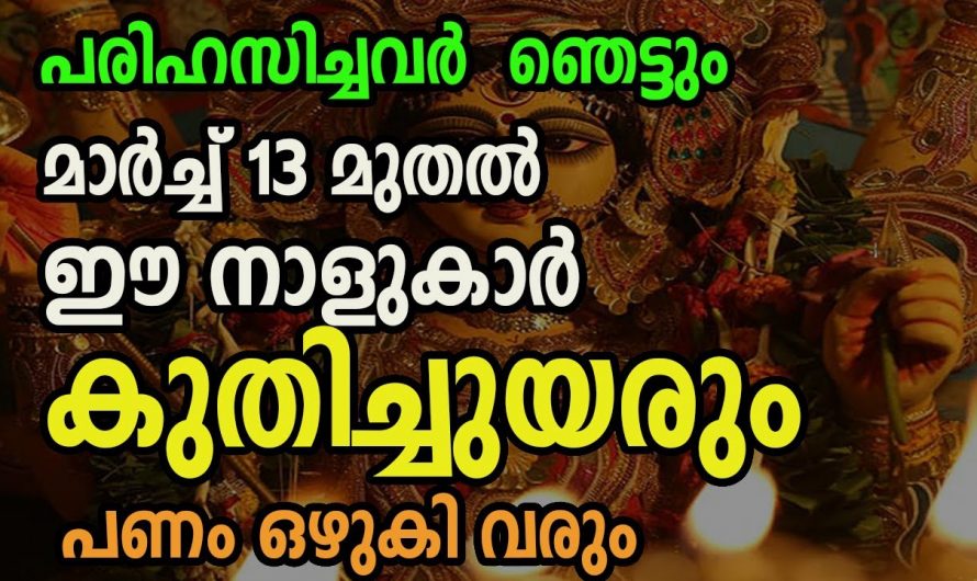 ഒട്ടേറെ നല്ല അവസരങ്ങൾ വന്ന് കുതിച്ചുയരുന്ന നക്ഷത്രങ്ങൾ..