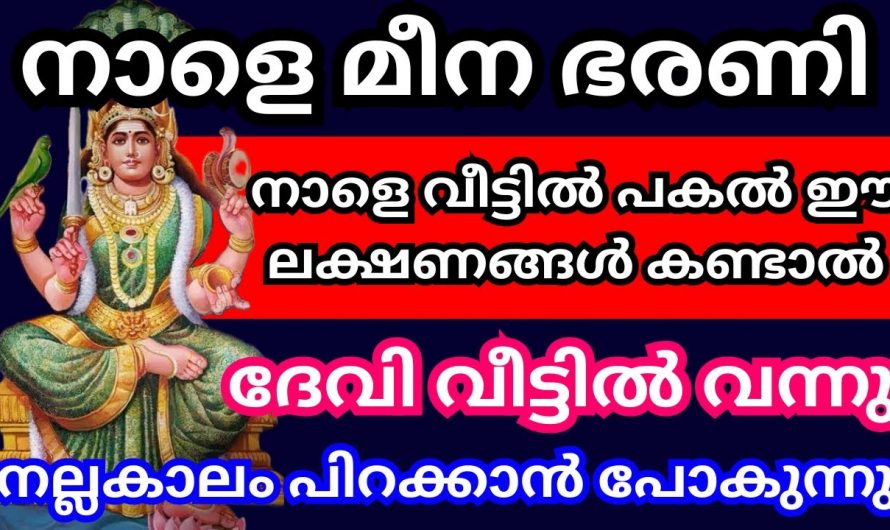 ദേവിയുടെ അനുഗ്രഹം ഉണ്ടെങ്കിൽ ഇത്തരം ലക്ഷണങ്ങൾ നിങ്ങൾക്ക് ലഭ്യമാകും…