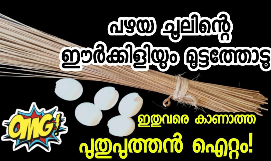 മുട്ടത്തോടുകൊണ്ട്  ചുമരുകൾ മനോഹരമാക്കാം