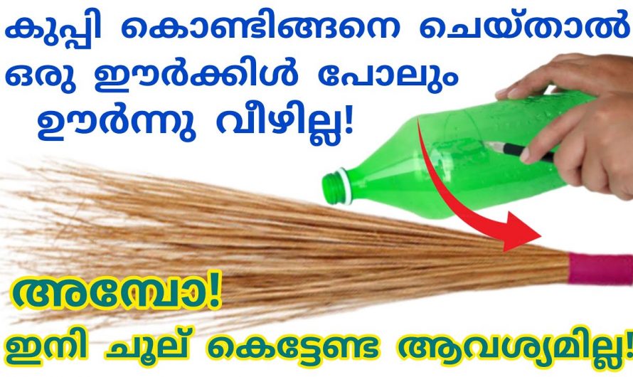 ചൂലിലെ  ഈർക്കിളികൾ നഷ്ടപ്പെടാതെ ചൂല് സംരക്ഷിക്കാൻ..