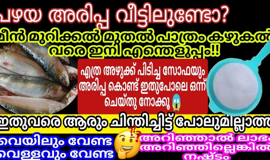 പാത്രം കഴുകുമ്പോൾ ഇതൊന്നും ചെയ്തു നോക്കൂ കൂടുതൽ ലാഭിക്കാം.