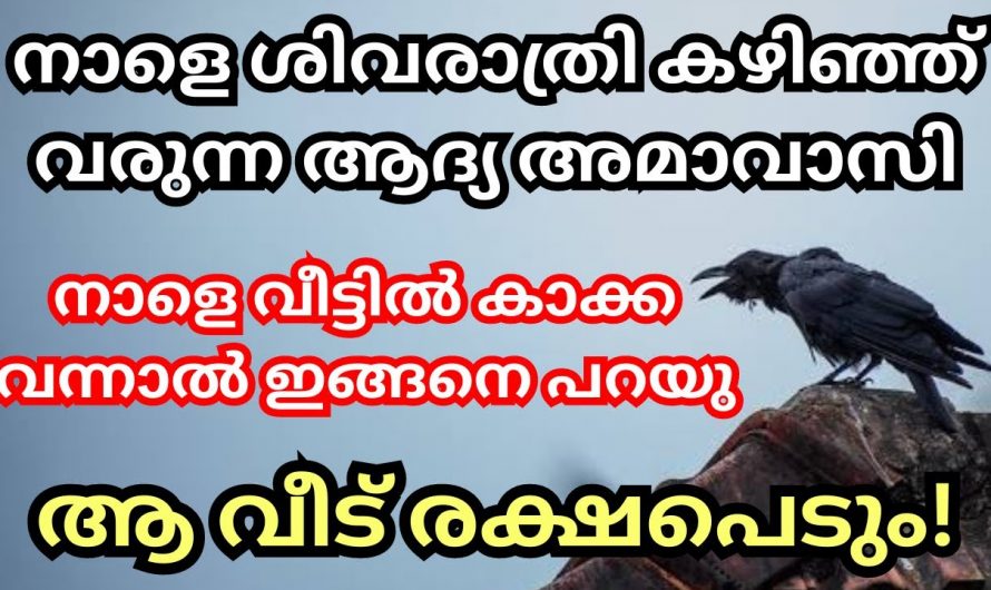 ശിവരാത്രി കഴിഞ്ഞു അമാവാസി ദിവസം  ഇക്കാര്യം ചെയ്താൽ വളരെയധികം ഗുണം ചെയ്യും…