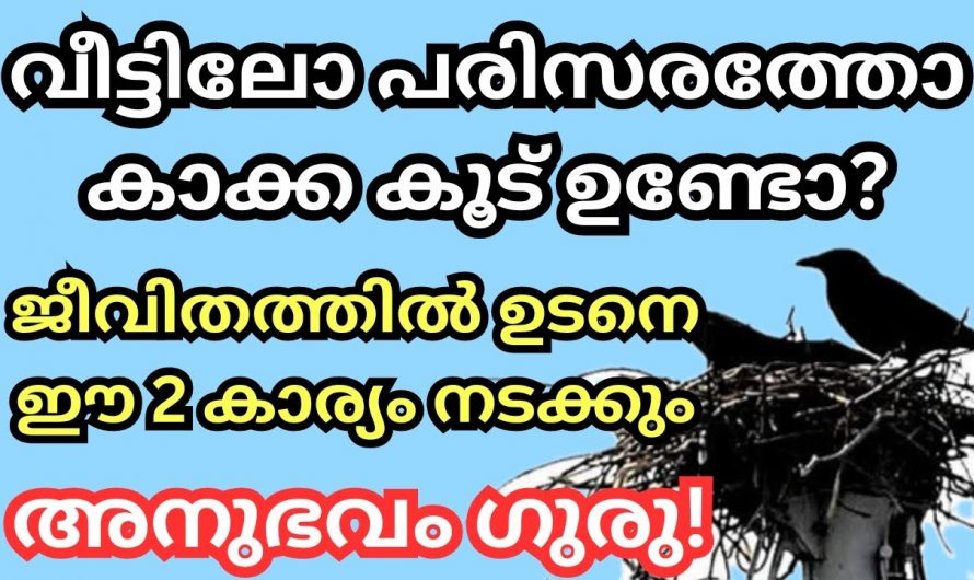 നിങ്ങളുടെ വീട്ടിലോ പരിസരത്തു കാക്ക കൂട് വെച്ചിട്ടുണ്ടോ എങ്കിൽ ഇക്കാര്യങ്ങൾ നടന്നിരിക്കും..