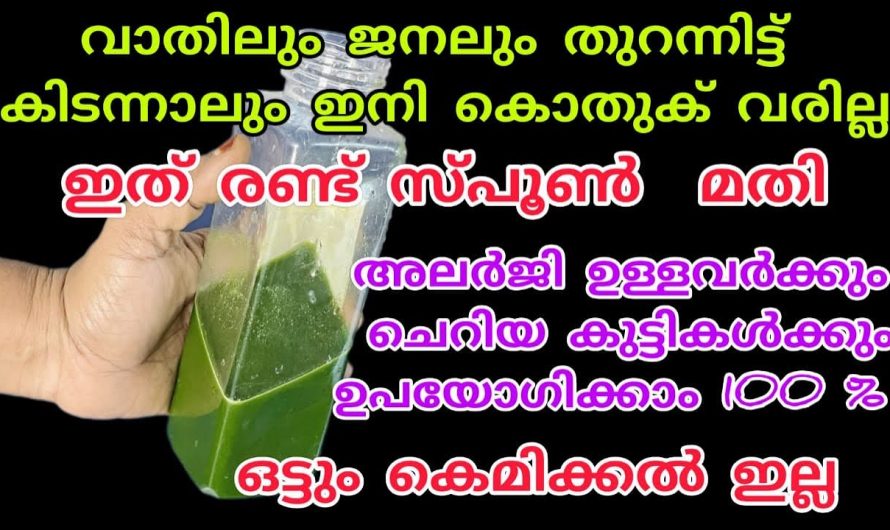 കൊതുകുകൾ ഇനി വീടിന്റെ ഏഴ് അടുത്തുപോലും  വരികയില്ല