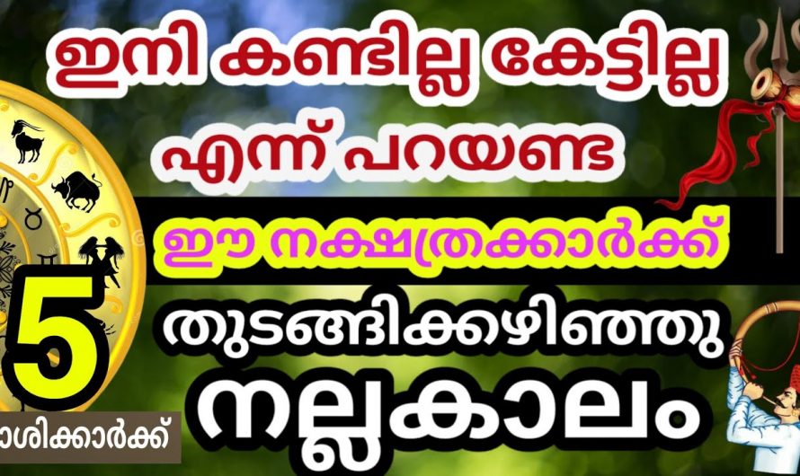 നക്ഷത്രക്കാരുടെ ജീവിതത്തിലെ ശുക്രൻ ഉദിക്കുന്നു വളരെയധികം സൗഭാഗ്യങ്ങളുടെ കാലഘട്ടം…