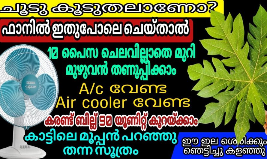 ചൂടുകാലത്ത് ഏറ്റവും ഉപകാരപ്രദമായ ഫാനിനെ വൃത്തിയാക്കാം.