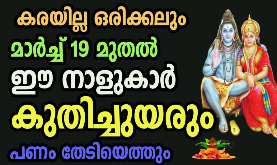 ജീവിതത്തിൽ അപൂർവ്വം നേട്ടങ്ങൾ നേടിയെടുത്ത കുതിച്ചുയരുന്ന നക്ഷത്രക്കാർ….