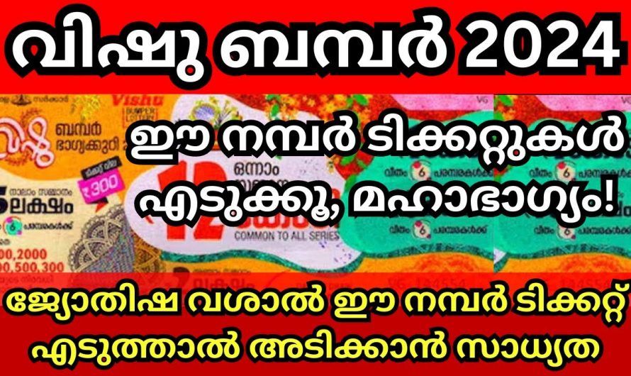 നിങ്ങളെ ലോട്ടറി എടുക്കുമ്പോൾ നിങ്ങളുടെ നക്ഷത്രത്തിന് അനുയോജ്യമായ നമ്പർ തെരഞ്ഞെടുത്താൽ ലോട്ടറി അടിക്കും…