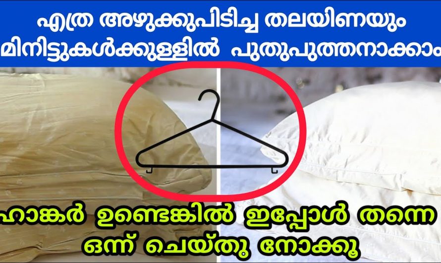 എത്ര വൃത്തികേടായ തലയിണകളും വളരെ എളുപ്പത്തിൽ ക്ലീൻ ചെയ്ത് എടുക്കാം…