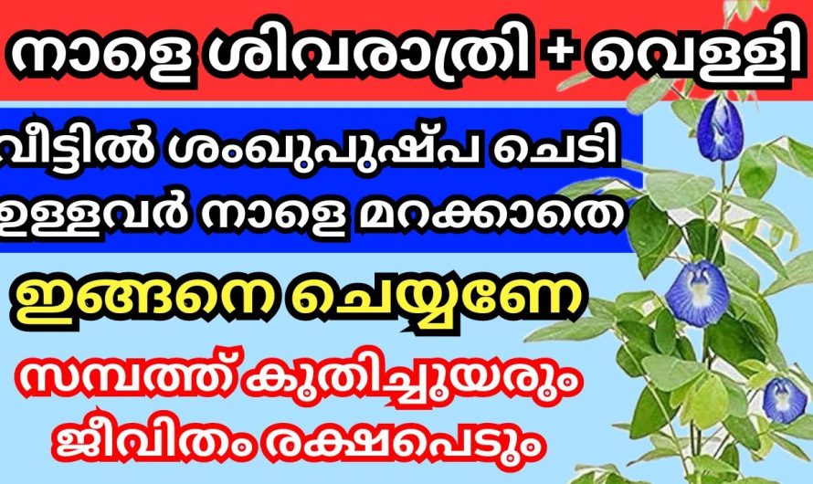 ശിവരാത്രി ദിവസം ശങ്കുപുഷ്പം ഉപയോഗിച്ച് ഇതൊന്നു ചെയ്തു നോക്കൂ…