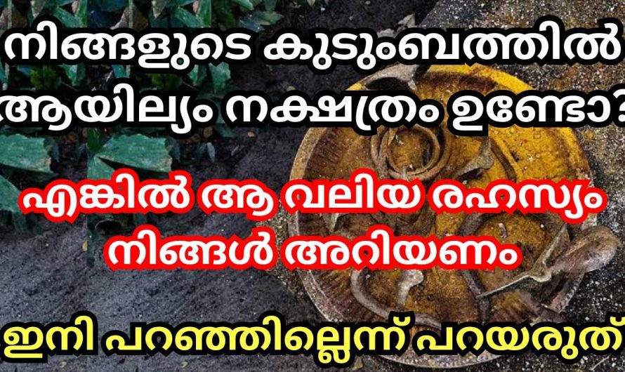 നക്ഷത്രക്കാർ വീട്ടിലുണ്ടെങ്കിൽ നിർബന്ധമായും ഇത്തരം കാര്യങ്ങൾ അറിഞ്ഞിരിക്കണം…