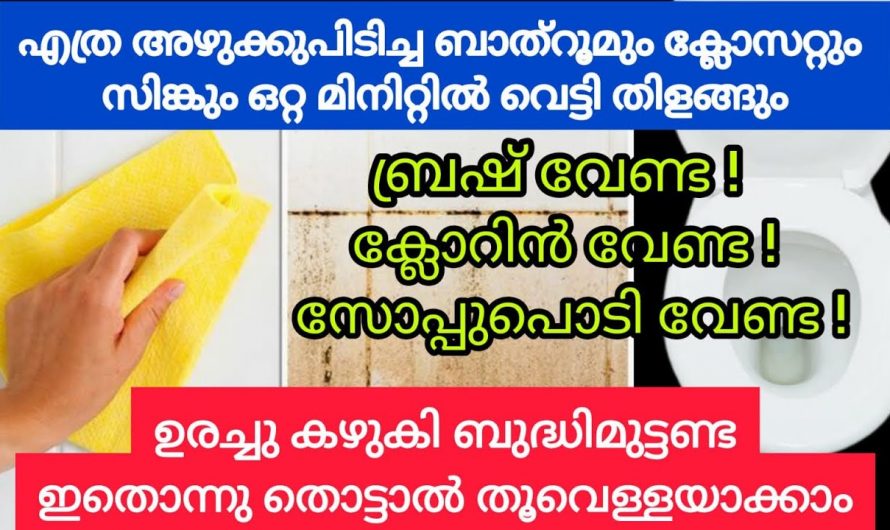 ബാത്റൂമിൽ ടൈലുകളും ക്ലോസറ്റും പുത്തൻ പുതിയത്   പോലെ നിലനിർത്താൻ….