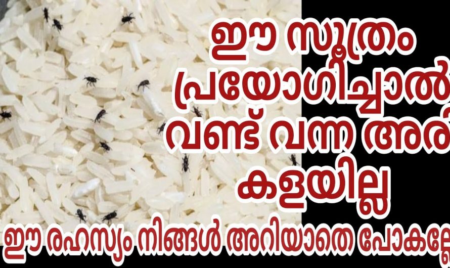 തറ തുടക്കുമ്പോൾ ഇതൊന്നു ചേർത്തു നോക്കൂ ഉറുമ്പുകൾ പിന്നെ നമ്മുടെ വീട്ടിൽ വരികയില്ല.