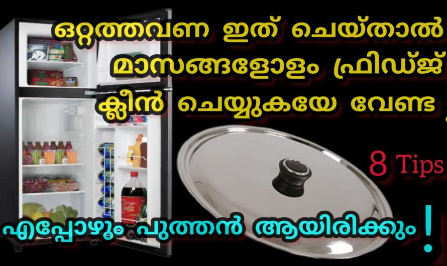 ഒറ്റത്തവണ ഇങ്ങനെ ചെയ്തു നോക്കൂ ഫ്രിഡ്ജ് ക്ലീൻ ആയിരിക്കുന്നത് കാണാം.