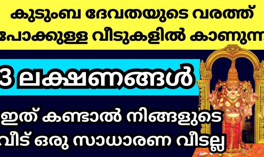 കുടുംബദേവതയുടെ അനുഗ്രഹം ഉണ്ടെങ്കിൽ ഇത്തരം ലക്ഷണങ്ങൾ ഉണ്ടാകും..