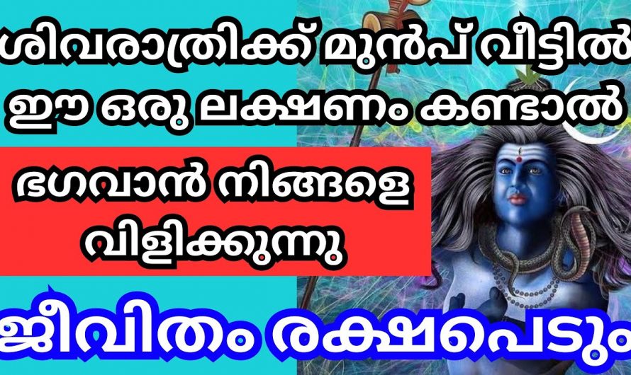 ശിവരാത്രിക്ക് മുൻപ് വീട്ടിൽ ഇത്തരം ലക്ഷണങ്ങൾ ഉണ്ടോ എങ്കിൽ അനുഗ്രഹങ്ങൾ ലഭ്യമാകും…