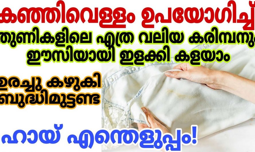 വെള്ള വസ്ത്രങ്ങൾ കരിമ്പൻ പിടിക്കാതെ ഇരിക്കുവാൻ ഇങ്ങനെ ചെയ്താൽ മതി.