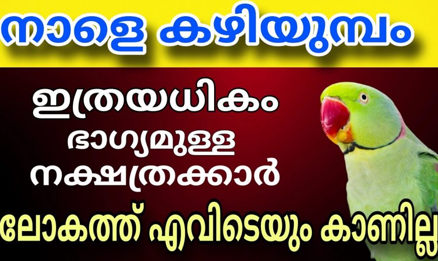 ജീവിതത്തിൽ വളരെ ഏറെ ഭാഗ്യങ്ങൾ ലഭ്യമാകുന്ന നക്ഷത്രക്കാർ….