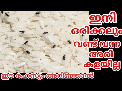 ഇത്തരം മാർഗ്ഗങ്ങൾ നമ്മുടെ ജോലി എളുപ്പമാക്കും..