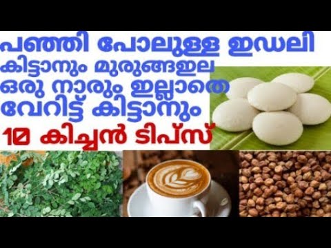 ഇഡലി സോഫ്റ്റ് ആകുവാൻ ഇങ്ങനെയൊന്നു ചെയ്തു നോക്കൂ.