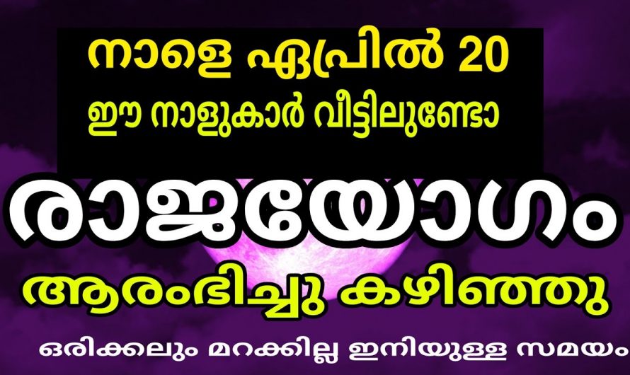 ഇവരുടെ ജീവിതത്തിൽ സൗഭാഗ്യമാണ് വരാൻ പോകുന്നത് ഈ നാളുകൾ വീട്ടിലുണ്ടെങ്കിൽ രാജയോഗമാണ് വരാൻ പോകുന്നത്.