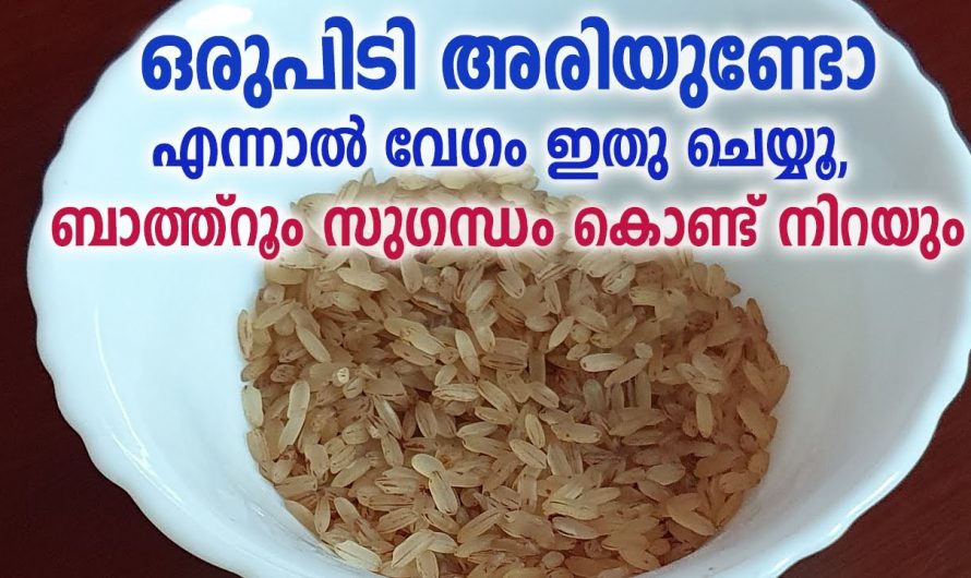 ബാത്റൂമിലെ ദുർഗന്ധം നീക്കം ചെയ്യാൻ കിടിലൻ മാർഗ്ഗം…