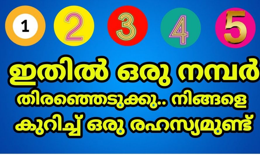 ഒരു നമ്പർ തിരഞ്ഞെടുക്കുക നിങ്ങളുടെ ഭാവി എന്താണെന്ന് മനസ്സിലാക്കാം…