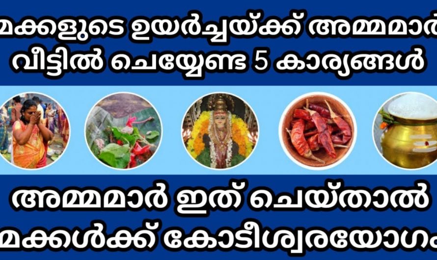 കുഞ്ഞുങ്ങൾക്ക് വേണ്ടി അമ്മമാർ ചെയ്യേണ്ട കാര്യങ്ങൾ..