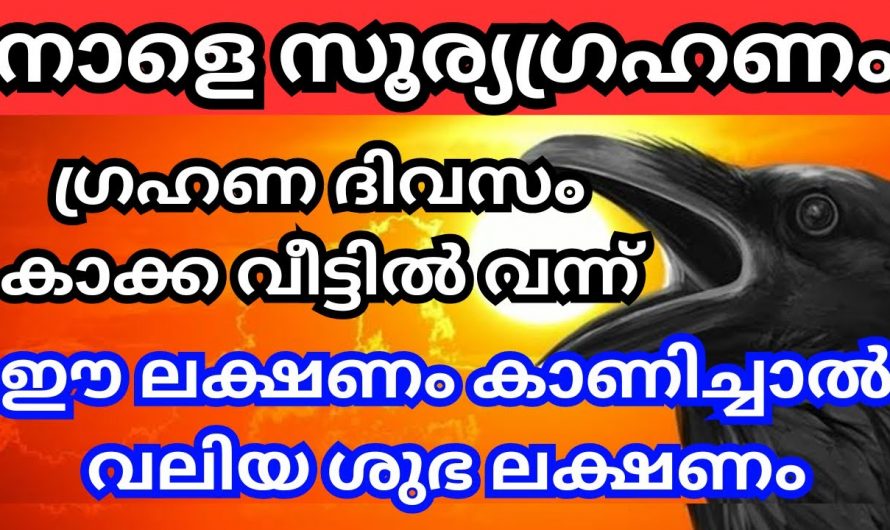 സൂര്യഗ്രഹണ ദിവസം വീട്ടിൽ കാക്ക വന്നാൽ ലഭിക്കുന്ന സൗഭാഗ്യങ്ങൾ…