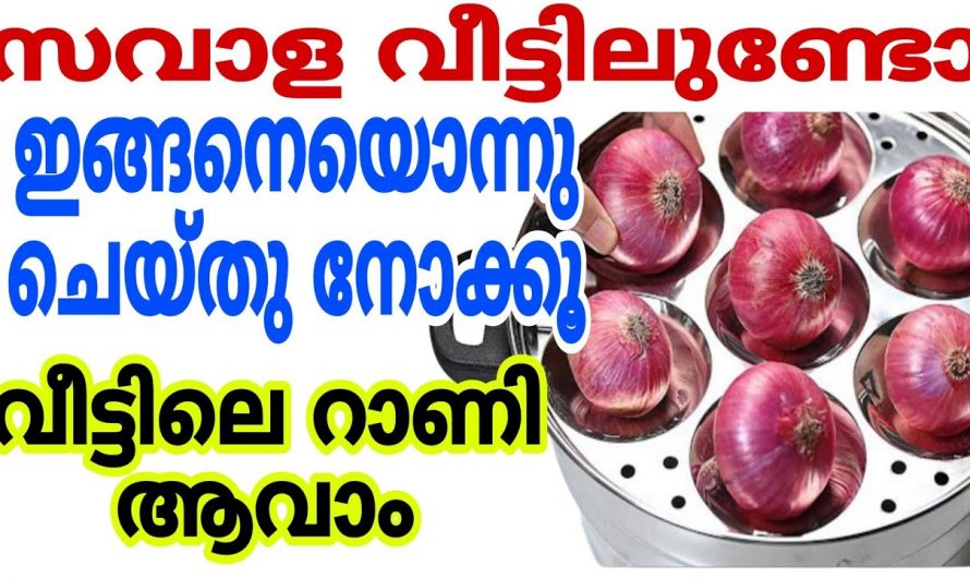 ചപ്പാത്തിയുടെ കൂടെ കഴിക്കുവാൻ ഇതാ ഒരു സബോള കറി.