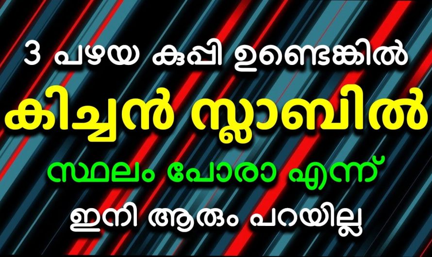 അടുക്കള മനോഹരമാക്കുവാൻ ഇതും കൂടി ചെയ്യേണ്ടതുണ്ട്.